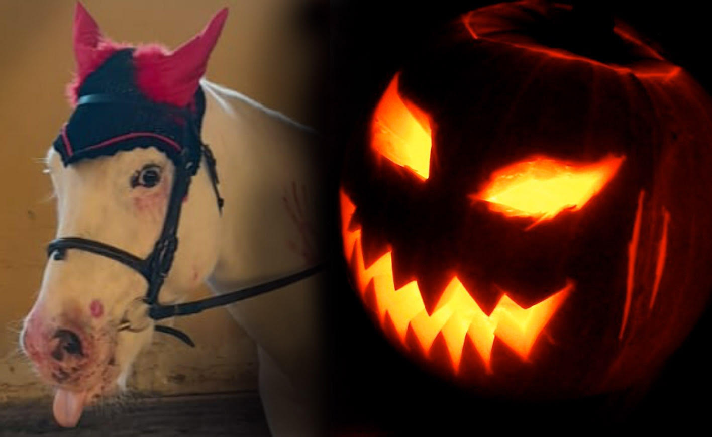 Sabato 2 novembre Sociale di Halloween!!