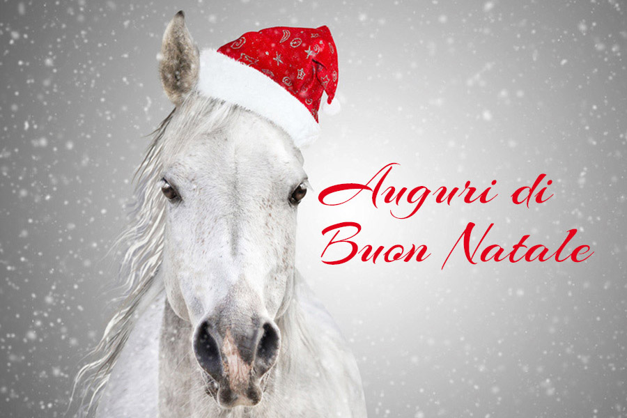 Buon Natale Horse.Buon Natale Dal Cil