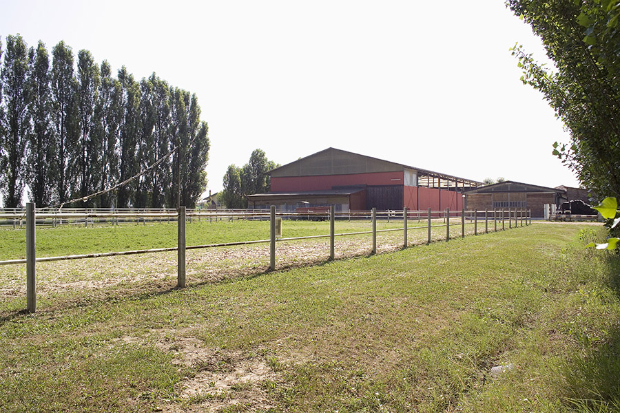 G2KS4419